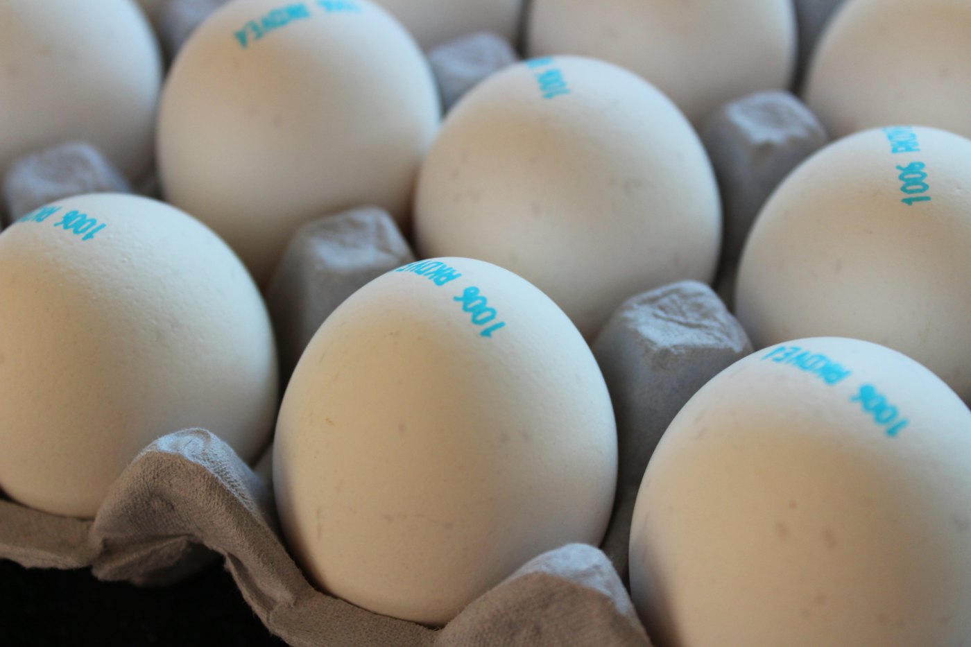 Stamped white eggs in a carton tray